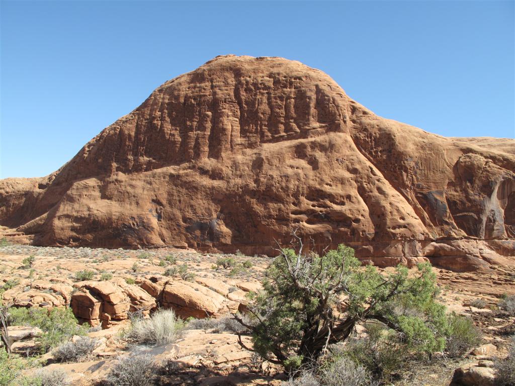 IMG_3064 (Large).JPG IMG_3064 (Large).JPG